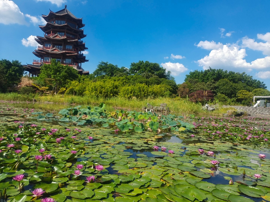 桂林园博园一游