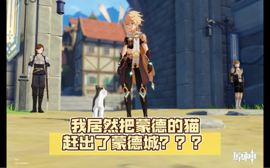 我居然把蒙德的猫赶出了蒙德城?【提瓦特赶猫记】