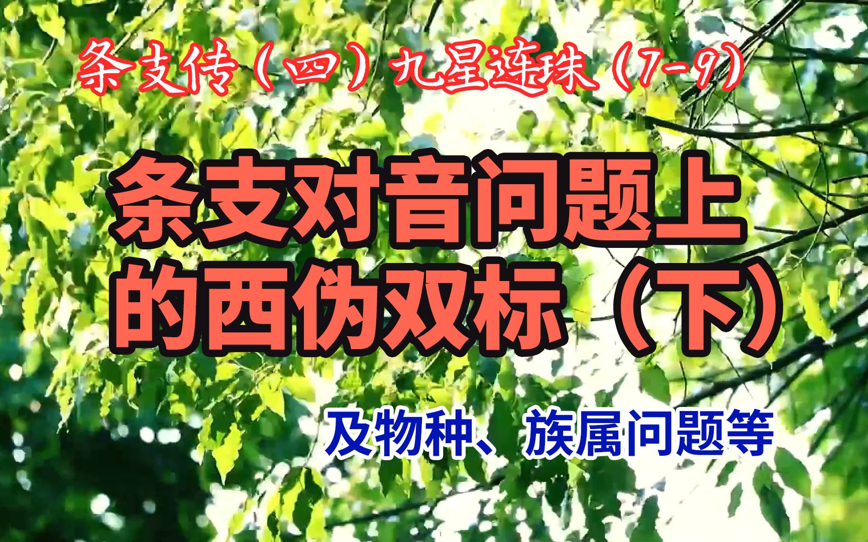 汉代条支对音及环境物种问题上的西方伪史双标套路(下):条支传(四)九星连珠(79)哔哩哔哩bilibili