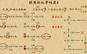 《7》醇类的化学性质4