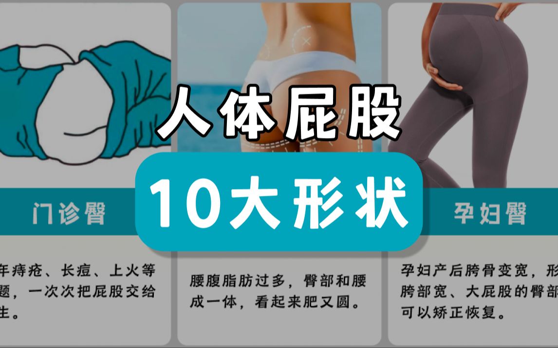 人体屁股的10大形状,你屁股什么形?哔哩哔哩bilibili