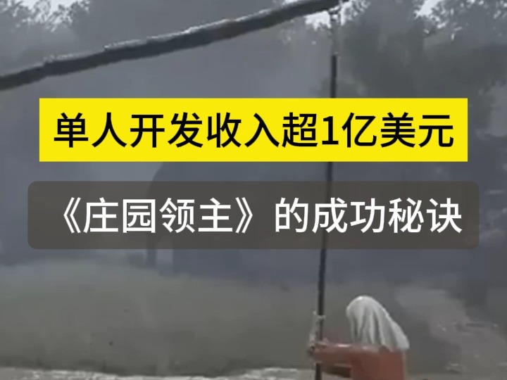 单人开发收入超1亿美元,《庄园领主》的成功秘诀#游戏开发 #游戏发行 #Steam #HoodedHorse #庄园领主哔哩哔哩bilibili