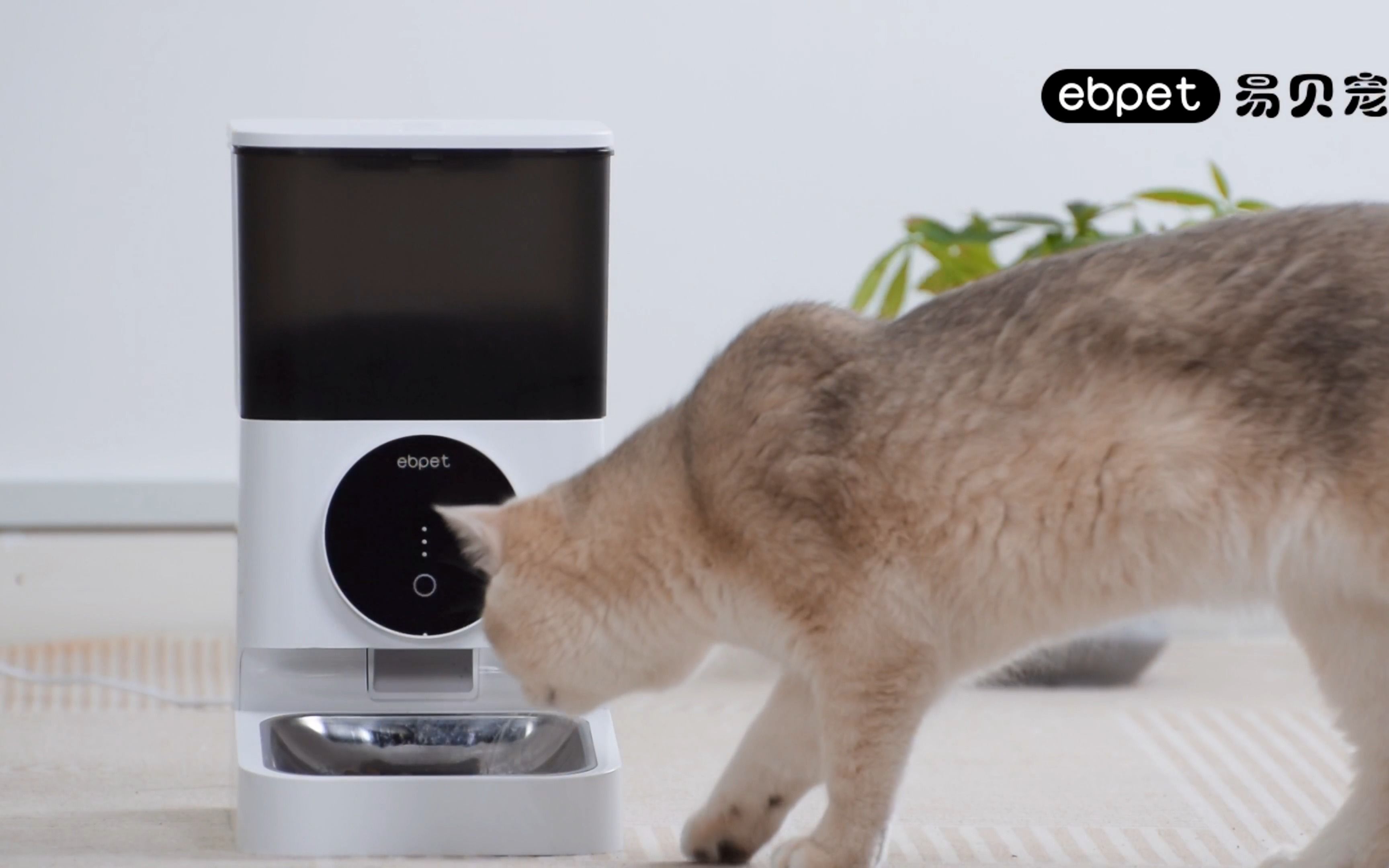 易贝宠星球宠物智能喂食器