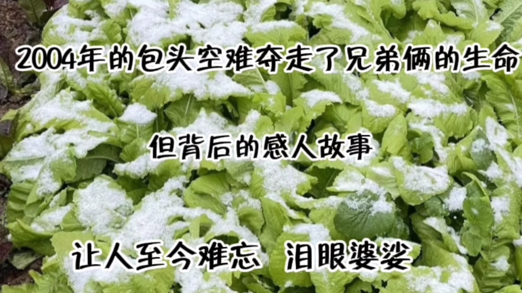 2004年的包头空难夺走了兄弟俩的生命,但背后的感人故事让人至今难忘.哔哩哔哩bilibili