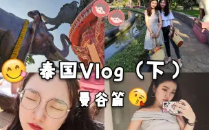 下载视频: 泰国旅行Vlog（下）和我一起在曼谷吃吃喝喝购购物/在四面佛许愿/水上公交/在大皇宫经历春运？？...