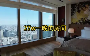 Download Video: 宝格丽27w一晚的总统套房