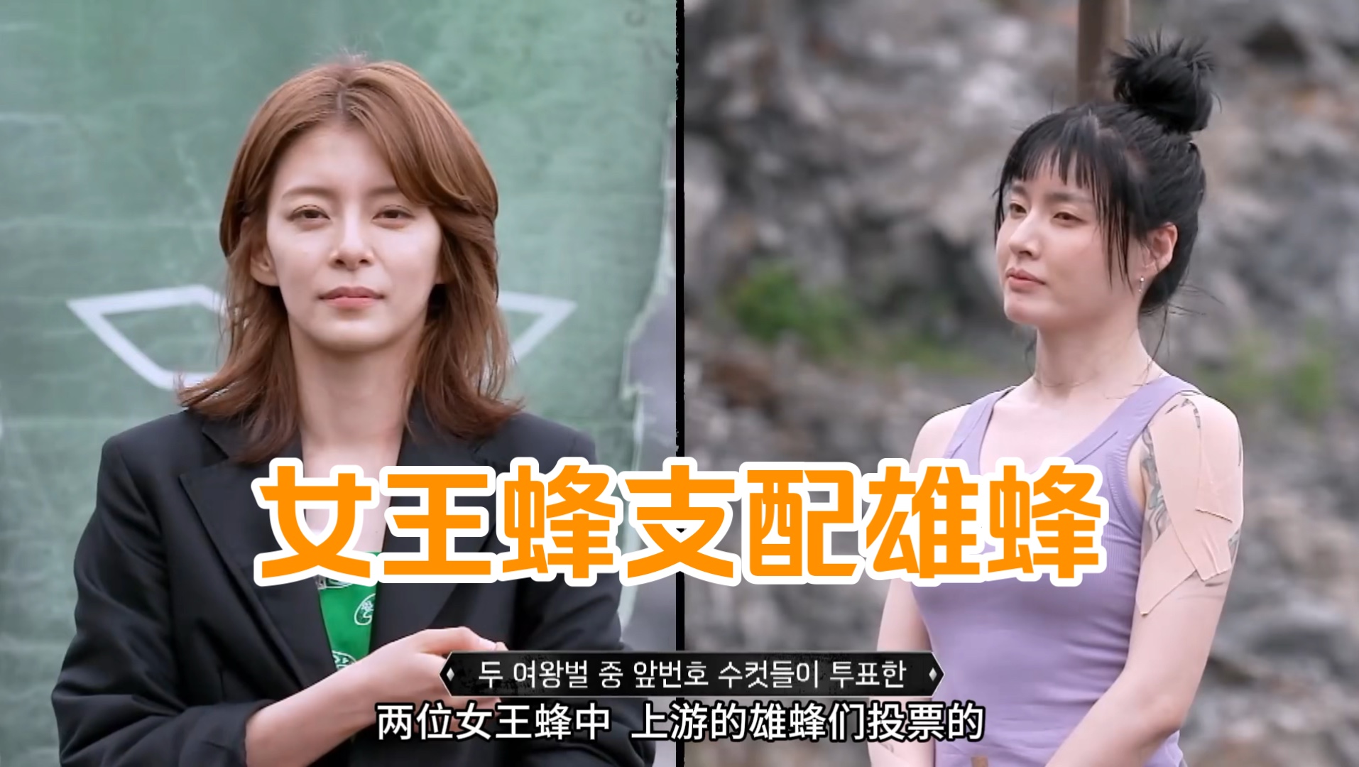 韩国新综艺!绝对的权力,只有最强的女王蜂队才能存!