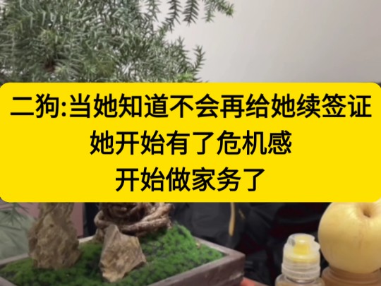 二狗:当她知道这次我不会再给她续签证 她开始做家务了 开始有危机感了哔哩哔哩bilibili