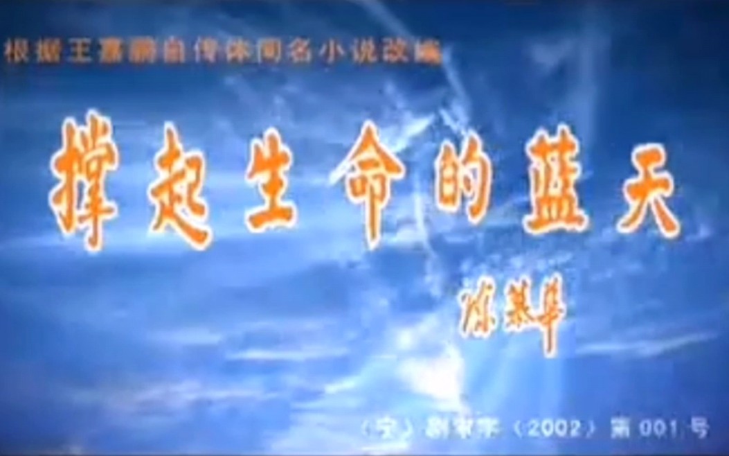 电视剧《撑起生命的蓝天》片头片尾曲(2003年)哔哩哔哩bilibili