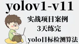 【YOLO算法实战案例】100个练手项目合集，三天练完，练完即可就业！还不拿下 ！！！（很少有人可以把计算机视觉目标检测YOLOv5讲的如此通俗易懂了）