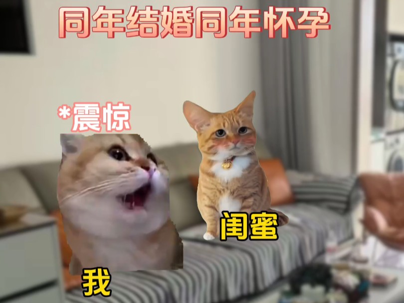 两小无猜,青梅竹马哔哩哔哩bilibili