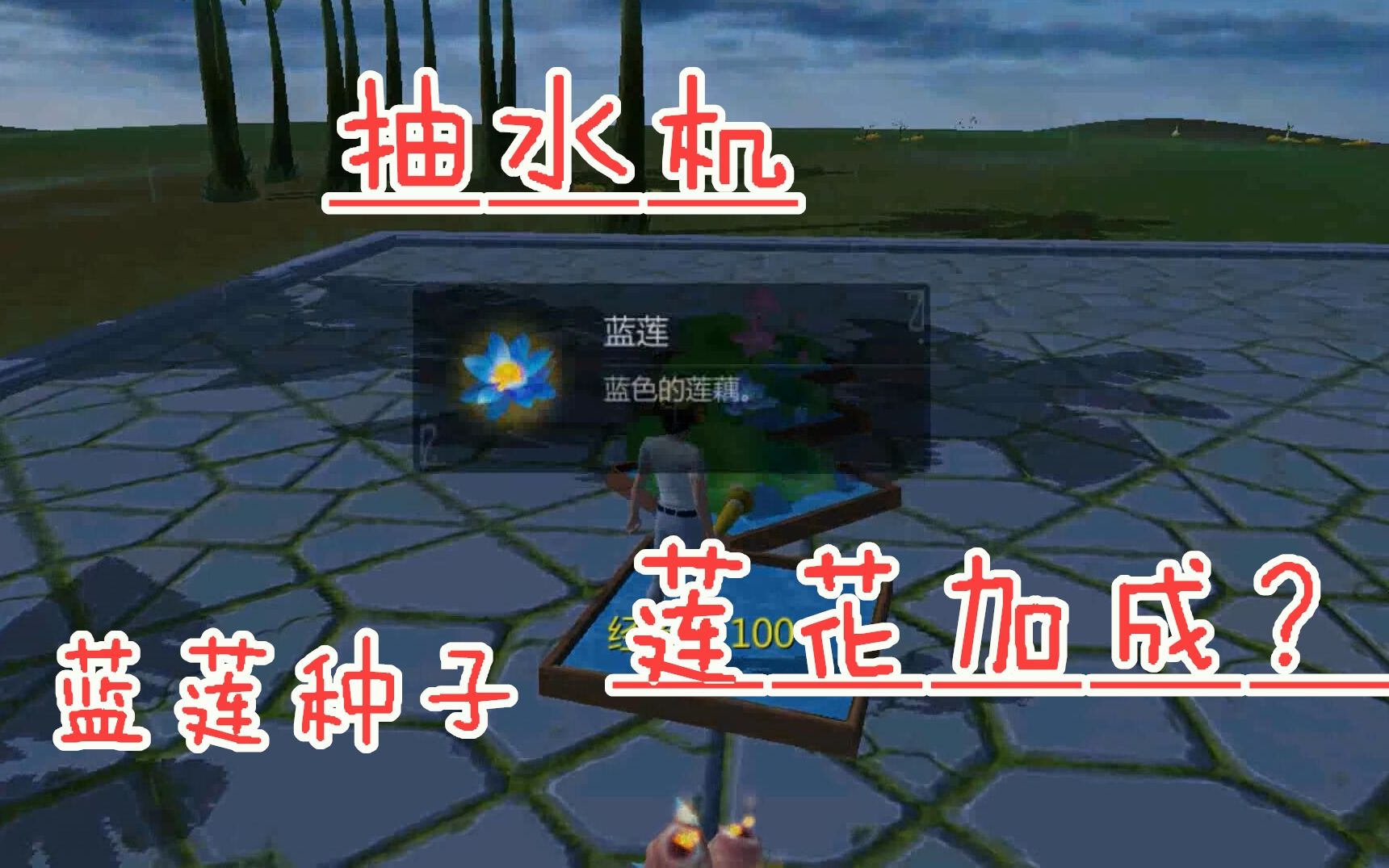 种蓝莲红莲怎么多长莲花呢创造与魔法安稳解说