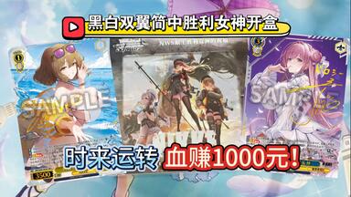爆箱！开24盒价值7200元『葬送的芙莉莲』黑白双翼卡盒！1/3的天选SSP