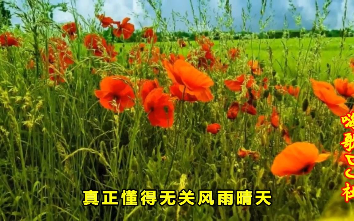 [图]一曲《相遇是缘》好听极了，送给远方牵挂的你！