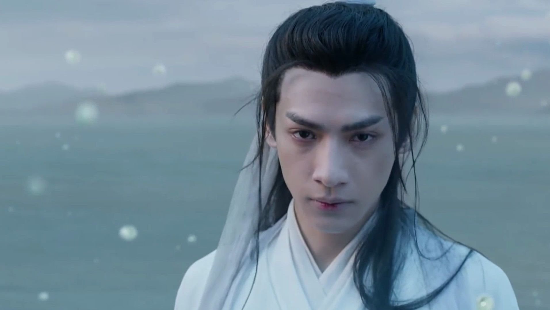 二哈和他的白猫师尊长阶血未尽那是他带你回家的路