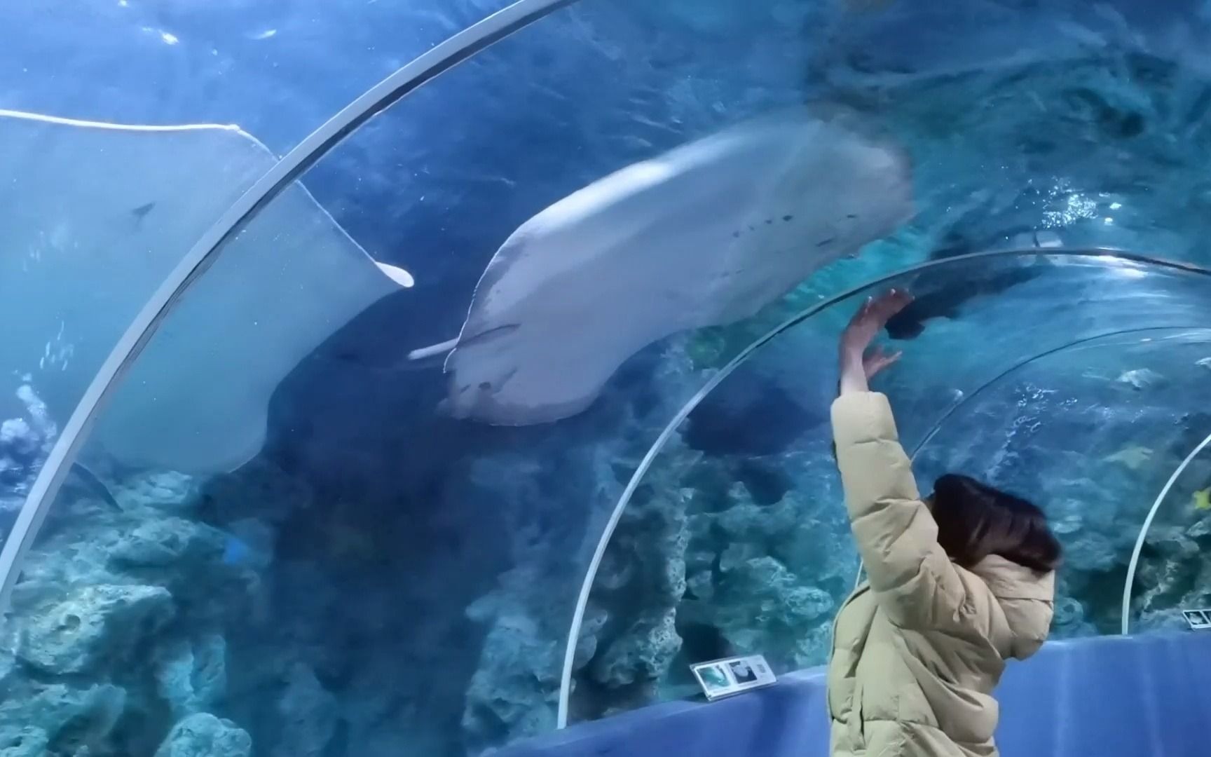 杭州海底世界