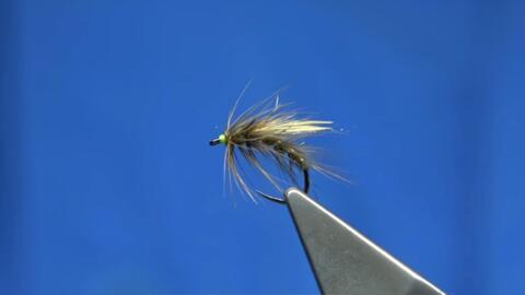 Tying a Saltwater Fly by Davie McPhail 