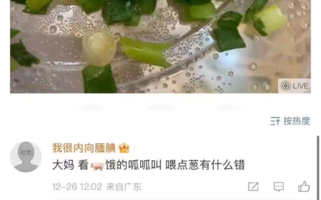 配合名字头像食用更佳哔哩哔哩bilibili