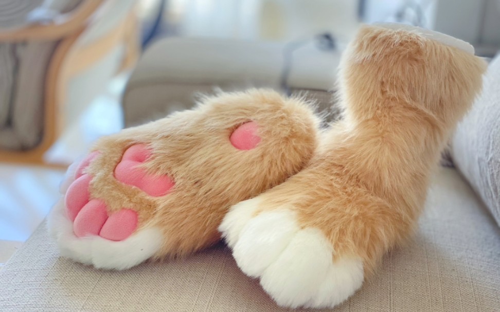 会啾啾啾的爪袜!