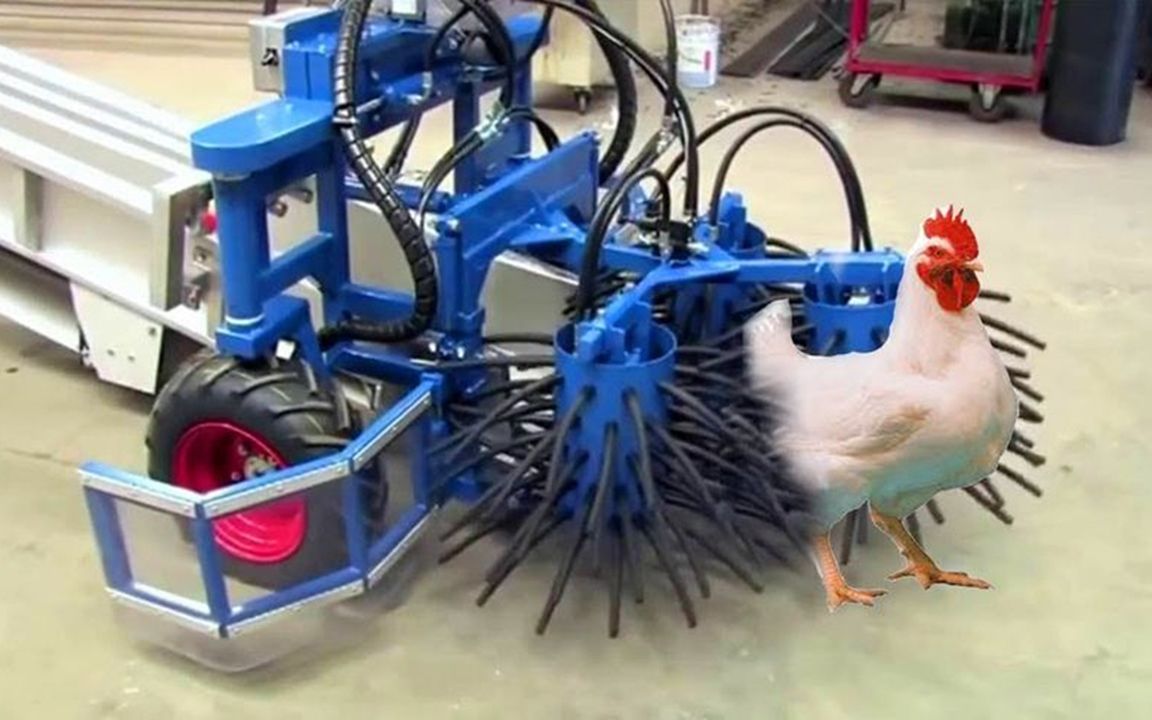 国外发明抓鸡神器一小时能抓8000只鸡网友大型收割鸡