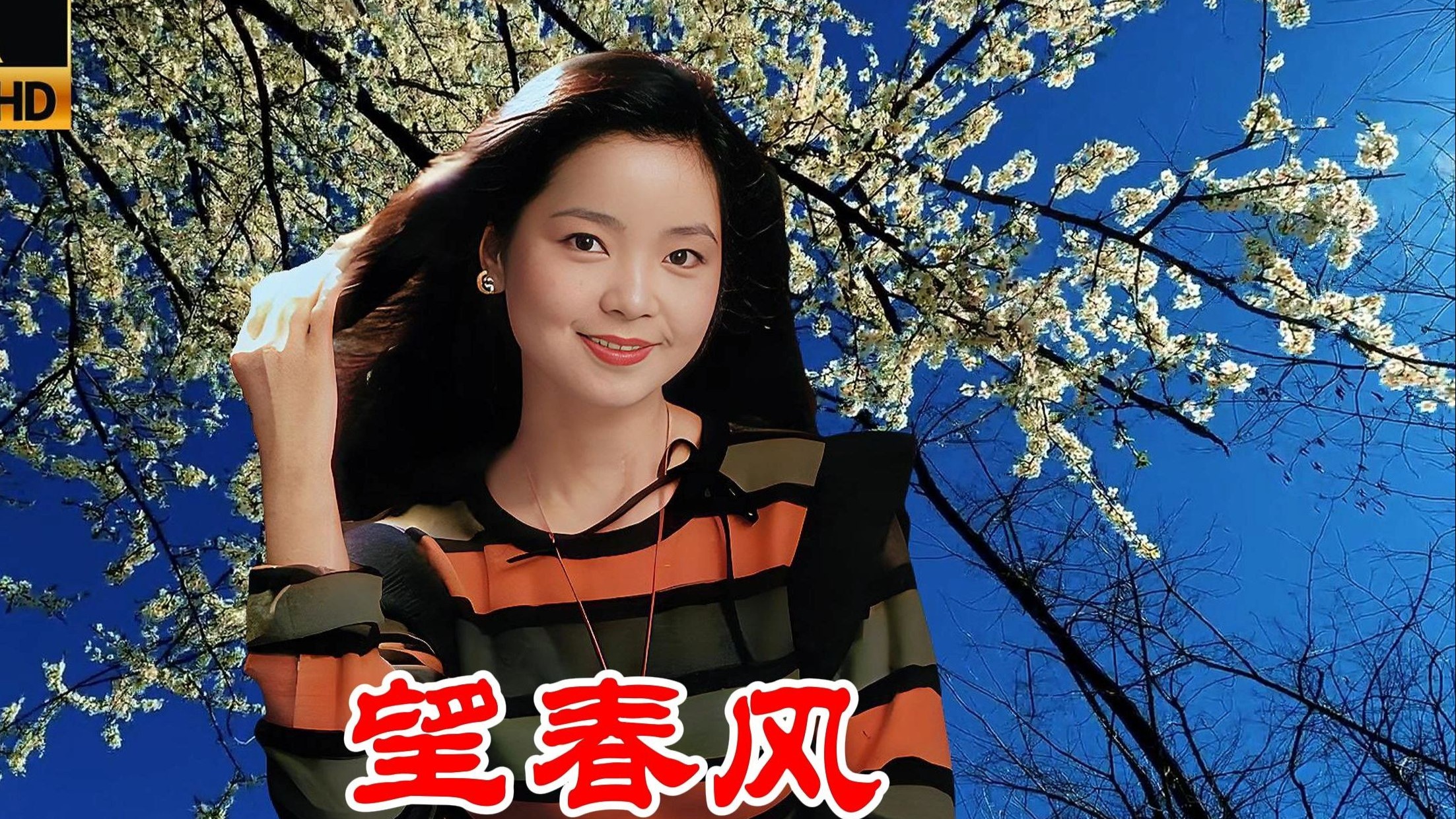 邓丽君岛国浓情专辑《望春风》闽南语无损音质完整版