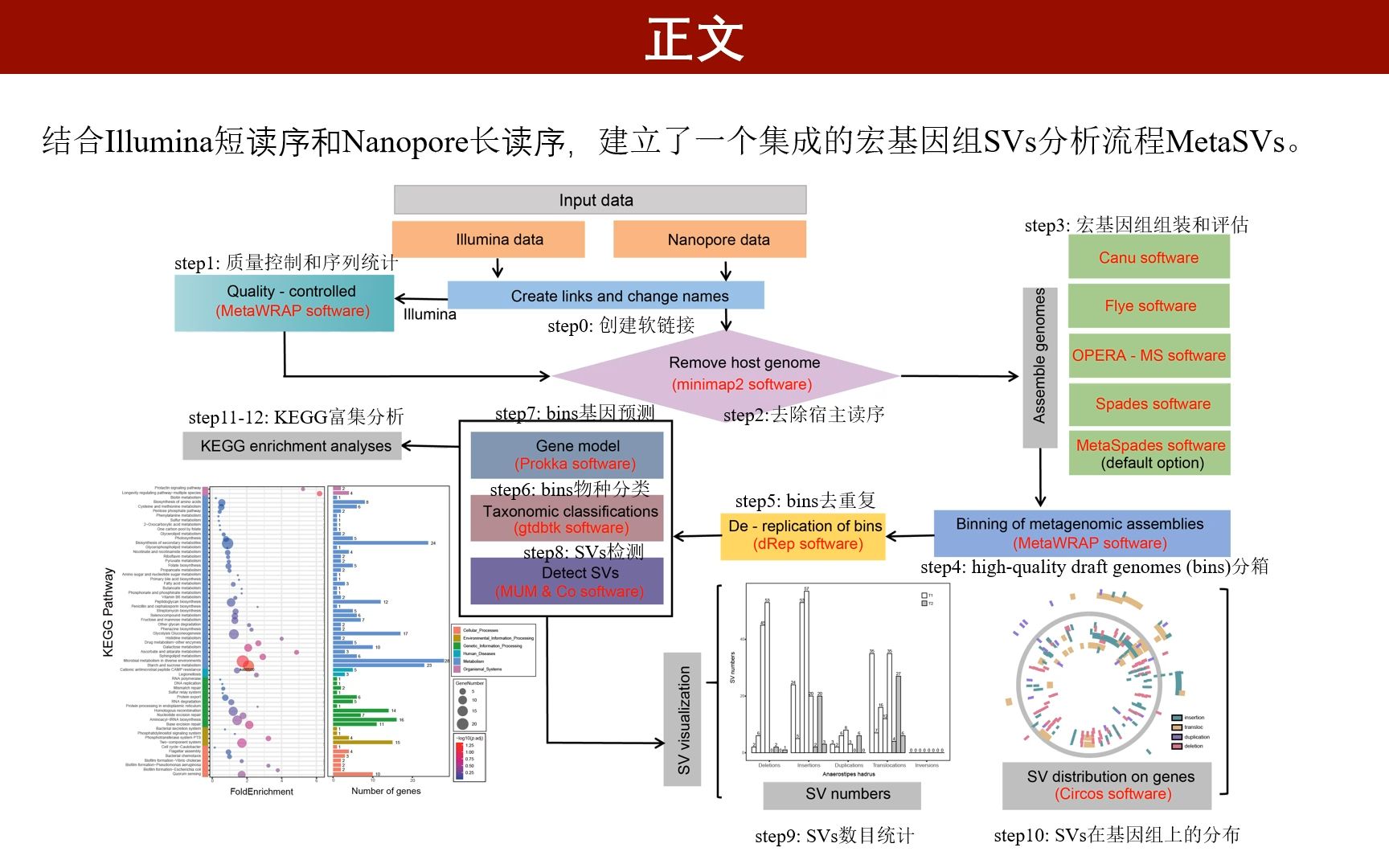 MetaSVs:一个结合长、短读序用于宏基因组结构变异分析和可视化的流程哔哩哔哩bilibili