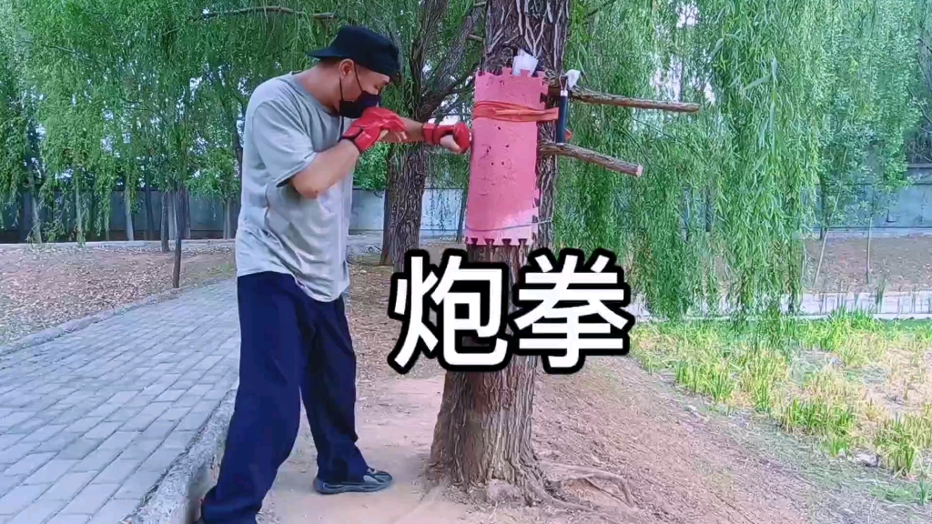 炮拳教学,我没那么保守!能让你学到,别人不教学的东西.哔哩哔哩bilibili