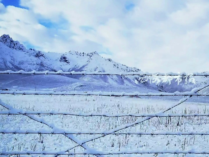 青海果洛迎来降雪 一夜之间变冰雪世界哔哩哔哩bilibili