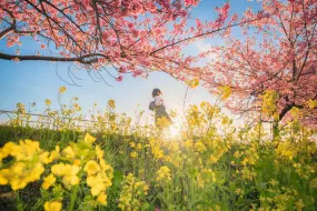 审美积累 | 日本摄影师tomosaki | 跌入动漫世界