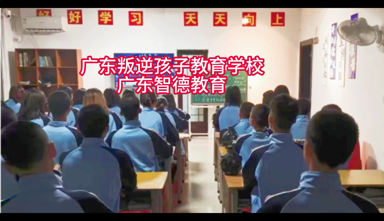 广东好的教育叛逆孩子的学校,教育叛逆少年的学校,教育问题少年的学校哔哩哔哩bilibili