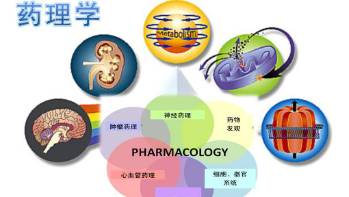 [图]药理学 - 华中科技大学（国家级精品课）