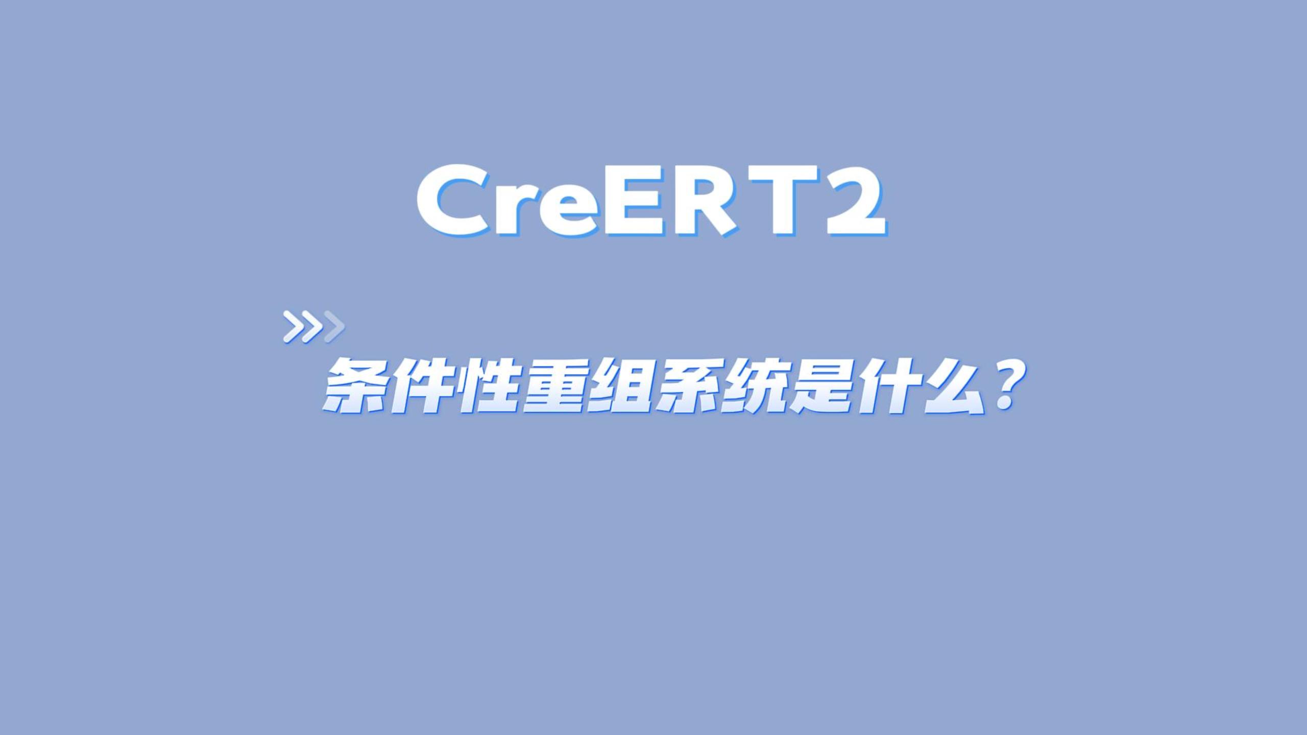 CreLoxP5CreERT2条件性重组系统是什么?哔哩哔哩bilibili