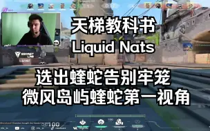 下载视频: 【无畏契约】第一视角分析 Liquid Nats 微风岛屿 热带乐园 蝰蛇viper第一视角