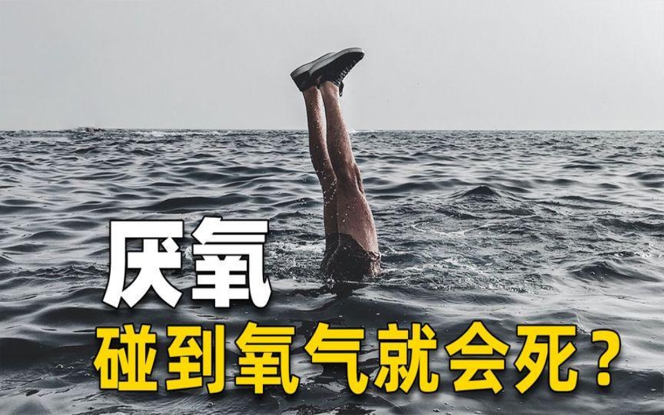 一碰氧气就会死?厌氧生物为什么不喜欢氧气?哔哩哔哩bilibili