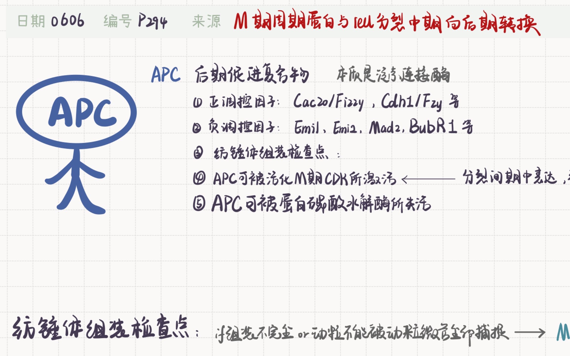 自用复盘:M期的周期蛋白和细胞中期向后期的转变哔哩哔哩bilibili