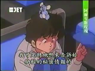 【240P】阿尔卑斯玫瑰/雪岭飘零/Alpen Rose 1985【日语中字】哔哩哔哩bilibili