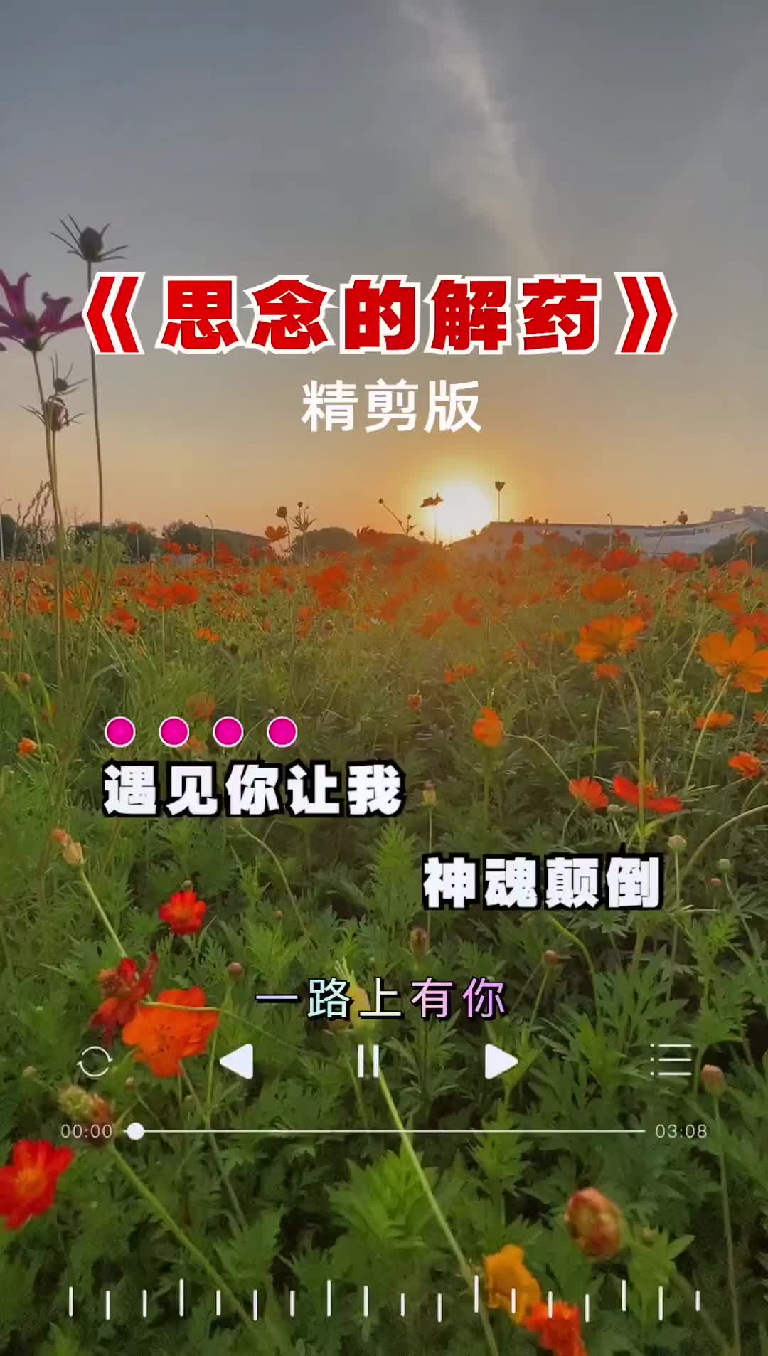 [图]思念的解药精剪版