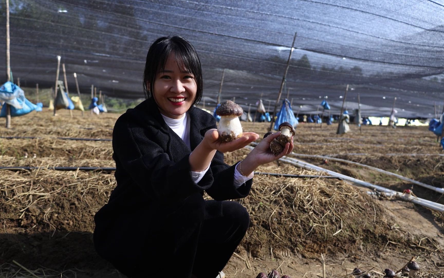 阿渔妹上山采菇,据说大部分人都没吃过,网友们有见过吗哔哩哔哩bilibili