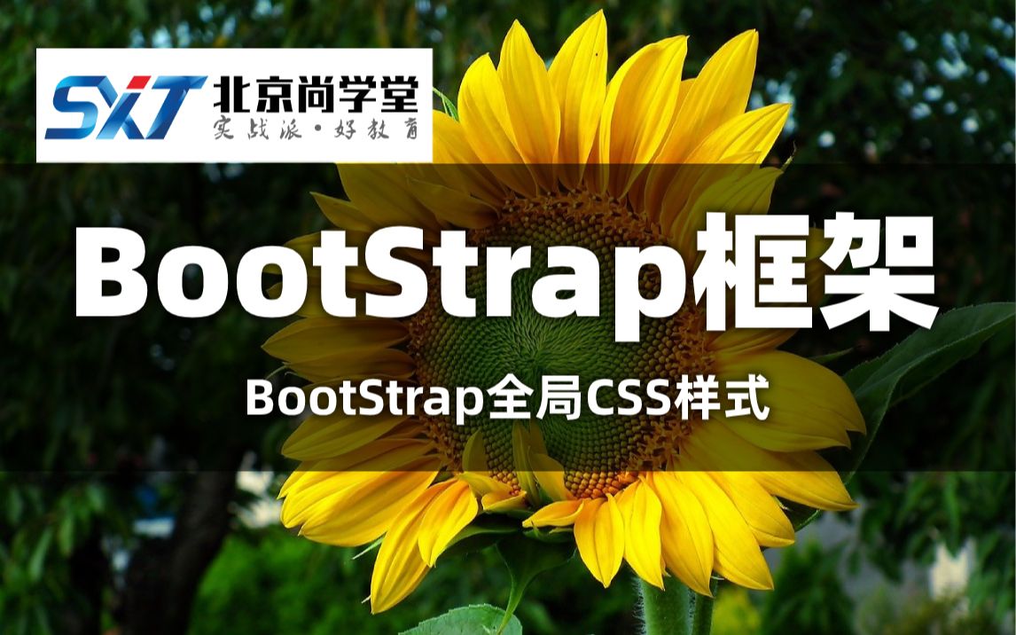 【尚学堂】BootstrapWeb前端从小白到大神Web前端高级工程师培养计划Bootstrap技术提升前端最火框架BootStrap小白入门框架利器哔哩哔哩bilibili