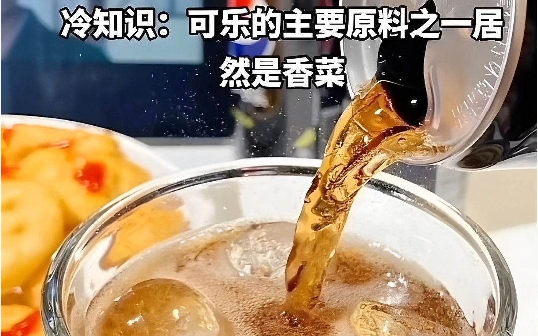 可乐主要原料之一居然是香菜,哔哩哔哩bilibili