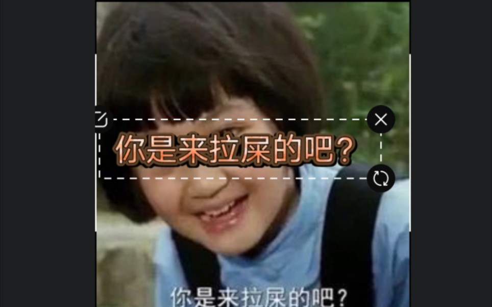 你是来拉屎的吧
