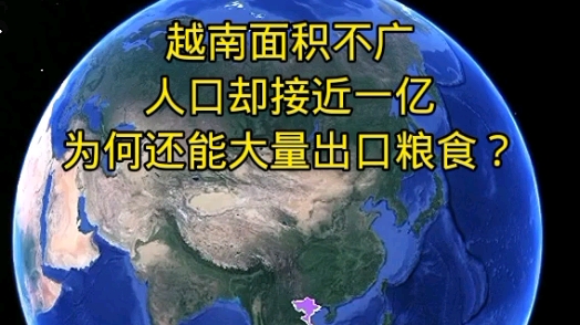 越南面积不广,人口却接近一亿,为何还能大量出口粮食?哔哩哔哩bilibili