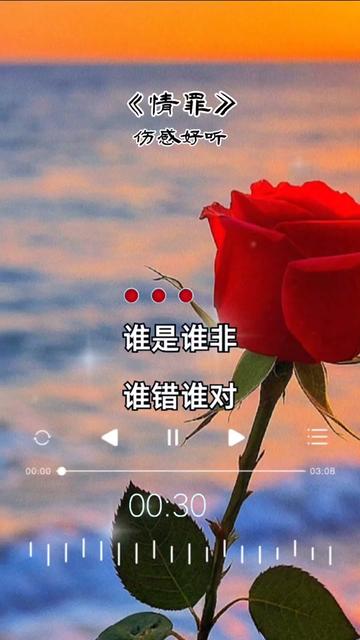 #情罪 #晚霞音乐