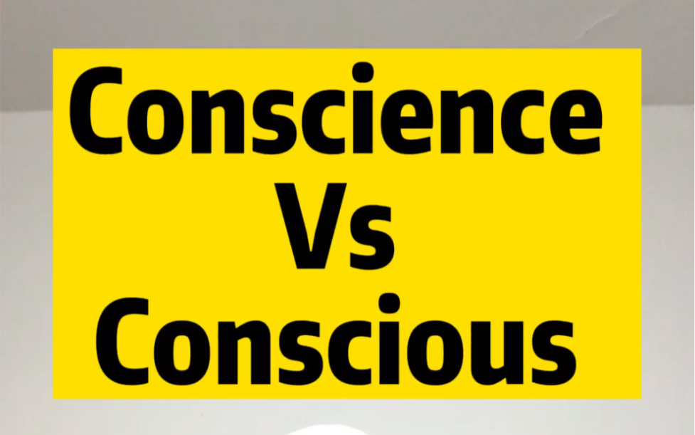 词汇辨析:conscience vs conscious哔哩哔哩bilibili