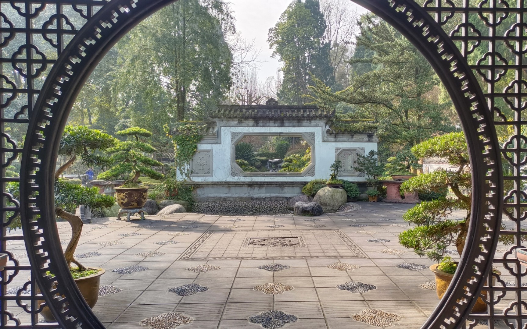 『生活』都江堰 清溪园 这个透景设计绝绝子,手残本残拍不出惊艳感