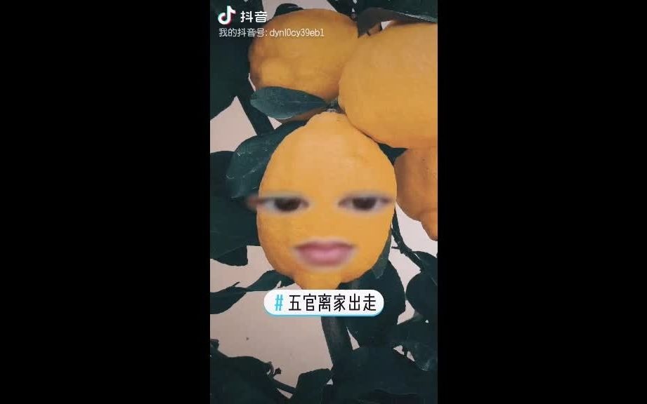 公司合法开除员工?处罚?罚款?哔哩哔哩bilibili