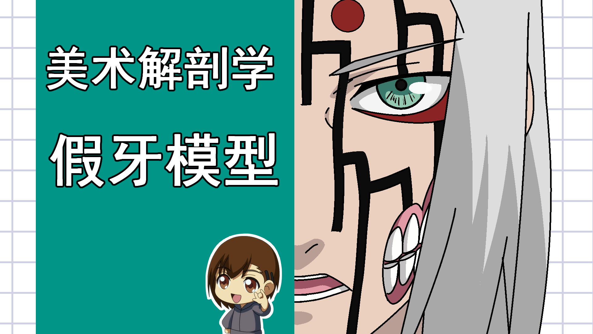 美术解剖学-28-假牙模型