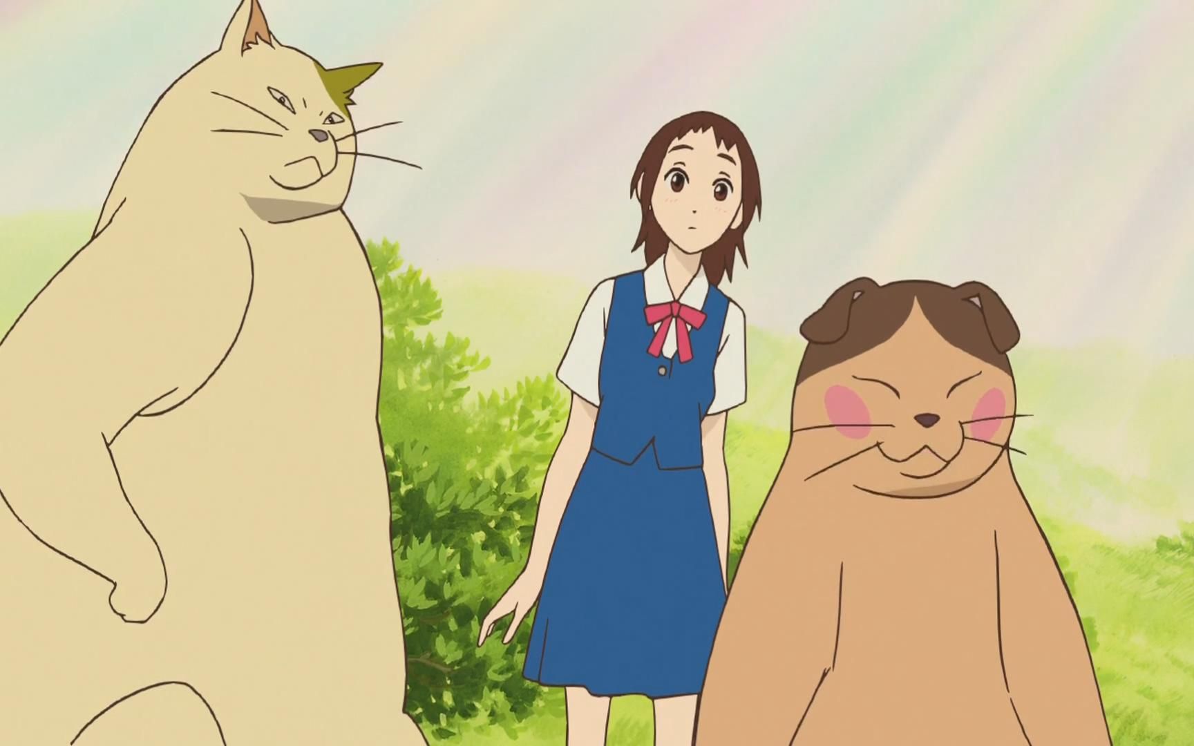 宫崎骏#猫的报恩 好可爱啊,一觉醒来,发现自己变成一只喵喵喵喵喵