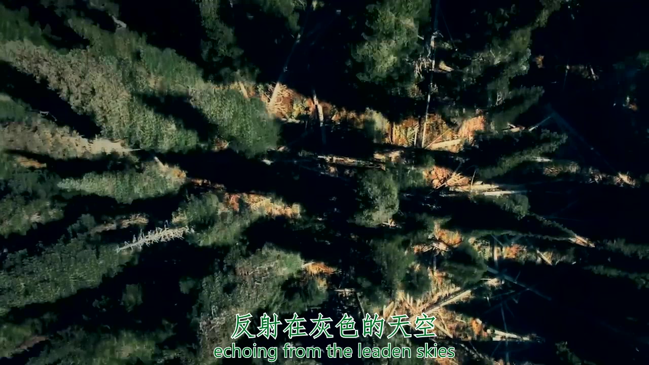 [图]【极端阵地字幕组】瑞士民谣Eluveitie —The Call Of The Mountains