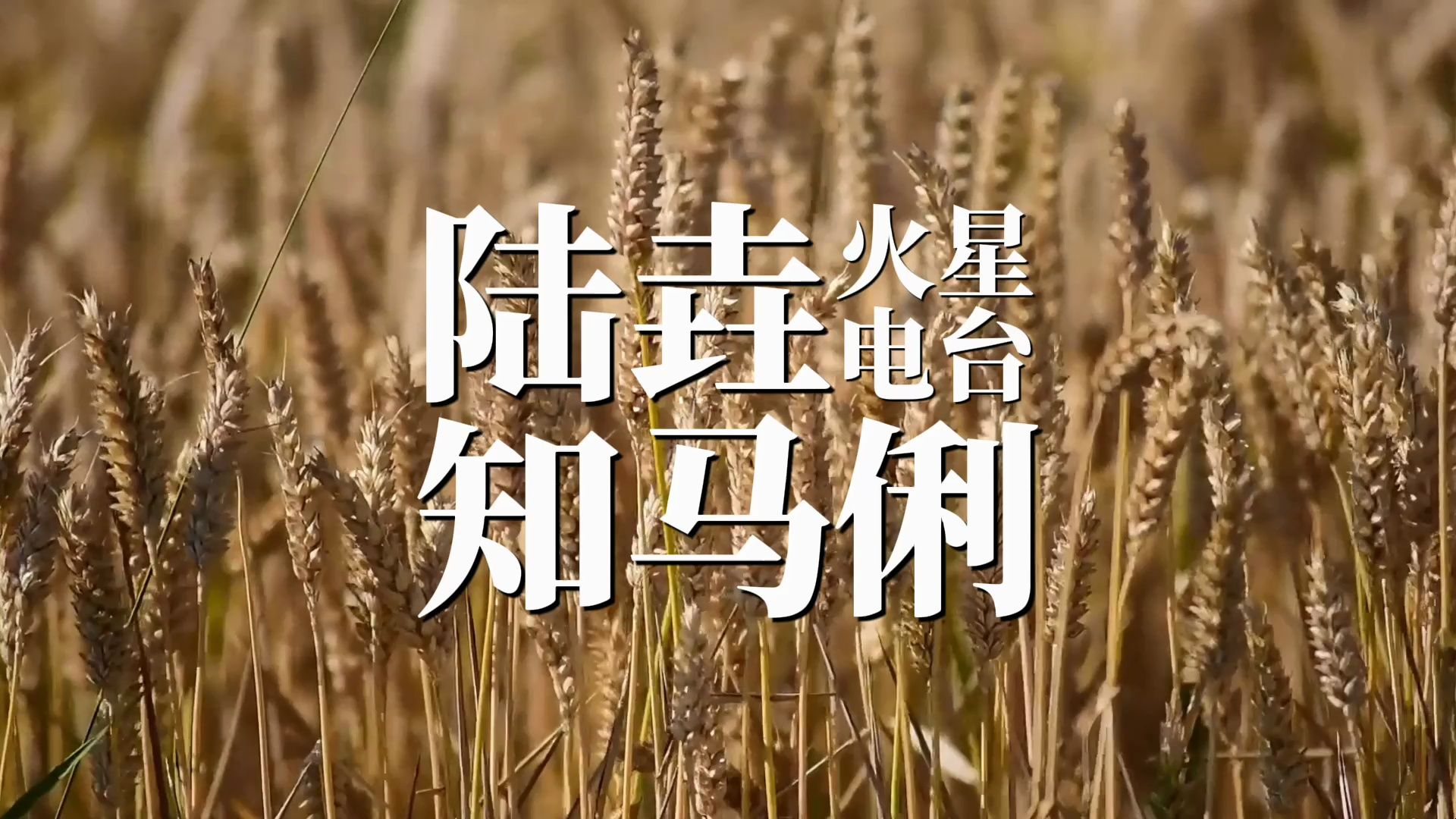 【摇滚推荐#194】陆垚知马俐——火星电台